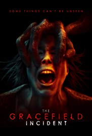 The Gracefield Incident (2017) The Gracefield Incident (2017)