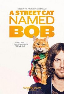 Un gato callejero llamado Bob (2016) Un gato callejero llamado Bob (2016)