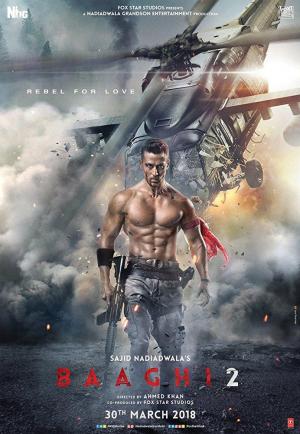 Baaghi 2 (2018) Baaghi 2 (2018)