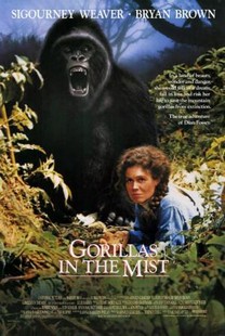 Gorilas en la niebla. La aventura de Dian Fossey (1988) Gorilas en la niebla. La aventura de Dian Fossey (1988)