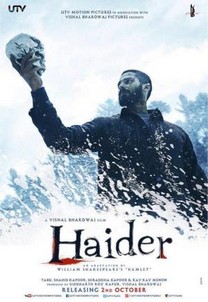 Haider (2014) Haider (2014)