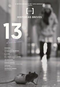 Historias breves 13 (2016) Historias breves 13 (2016)