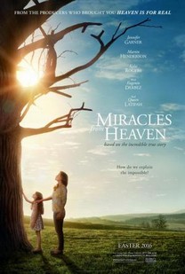 Los milagros del cielo (2016) Los milagros del cielo (2016)