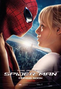 The Amazing Spider-Man (2012) The Amazing Spider-Man (2012)