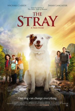 The Stray (2017) The Stray (2017)