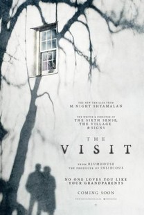 La visita (2015) La visita (2015)